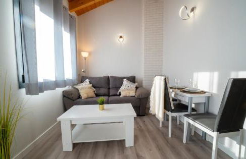 Apartamentos Aranda - Photo 28