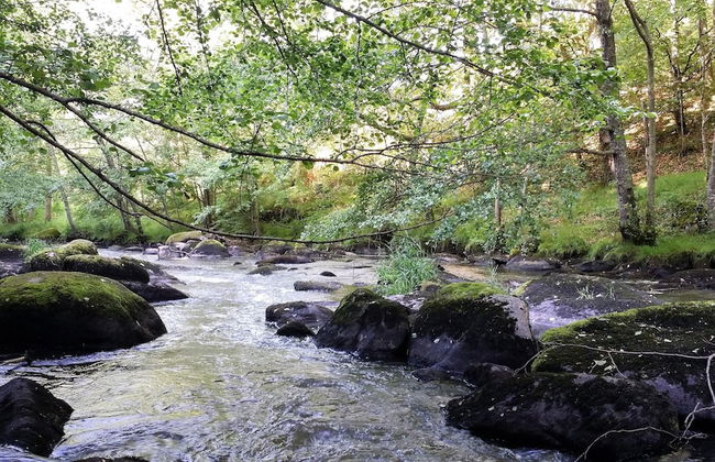 Gîtes LES Fougeres DU LAC - Foto 64