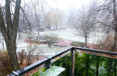 Ferienwohnung Am Kurpark - Foto 26