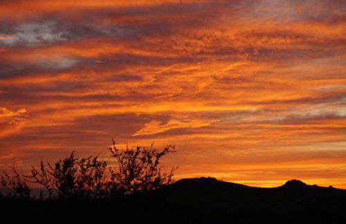 Charming coastal cottage - pet friendly! - Photo 29