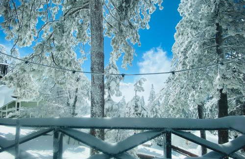 The Inspo Cabin with Stunning View - Foto 38