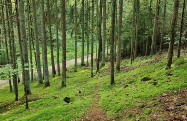 Gemütliche Premium Ferienwohnung mit Terrasse nähe S-Bahn - Foto 15