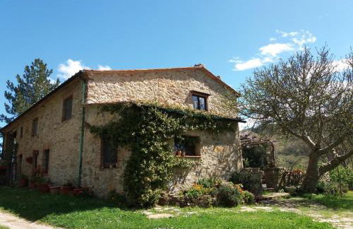 Podere Pian di Cava - Foto 13