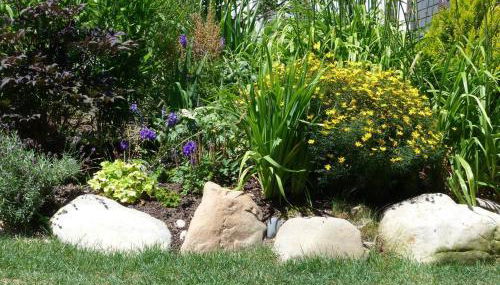 A Peaceful Oasis on Munjoy Hill - 3BR Cottage & Parking - Foto 4