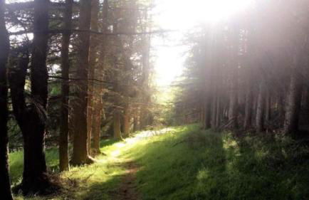 Ramintoul Lodge - Foto 24