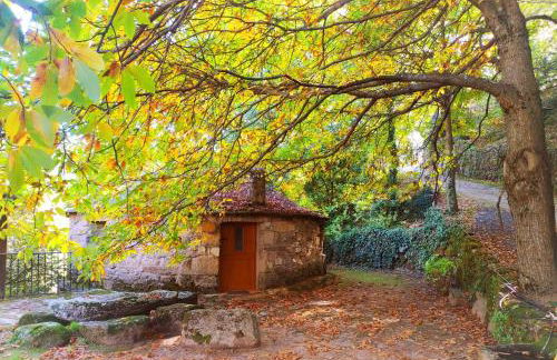 Chozos Rurales El Solitario - Foto 69