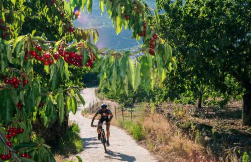 El Cerrillo - Foto 12