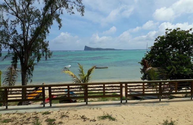 Allamanda Studios and Apartments - Photo 37