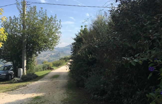 Agriturismo Serena - Photo 31