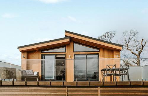 Orchid - Uk51102 - Foto 5