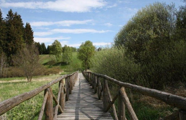 Nice Apartment in Allrode With Private Terrace - Photo 53