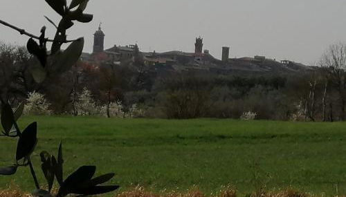 La Dimora degli Olivi - Foto 2