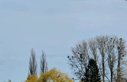 Haus Müritz, FeWo 12 Möwe - Foto 11