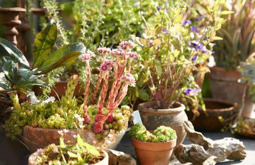 The Dairy Worcestershire - Foto 20