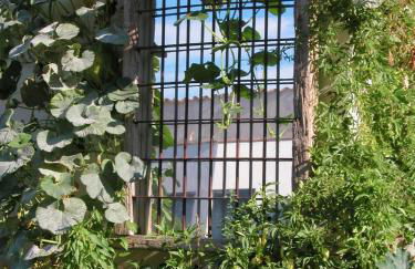 Los Chicos de Lastanosa Hotel y Restaurante - Foto 62