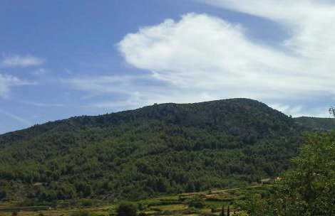 Hvar Architect's House - Photo 23