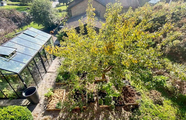 7 Person Holiday Home in Svangsta-by Traum - Photo 26