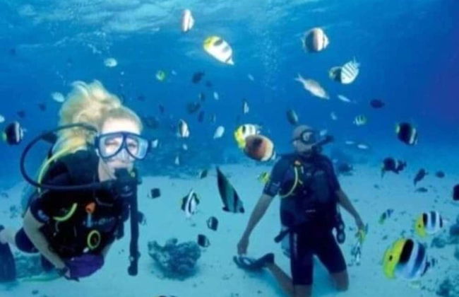 Maha Nusa Menjangan - Foto 31