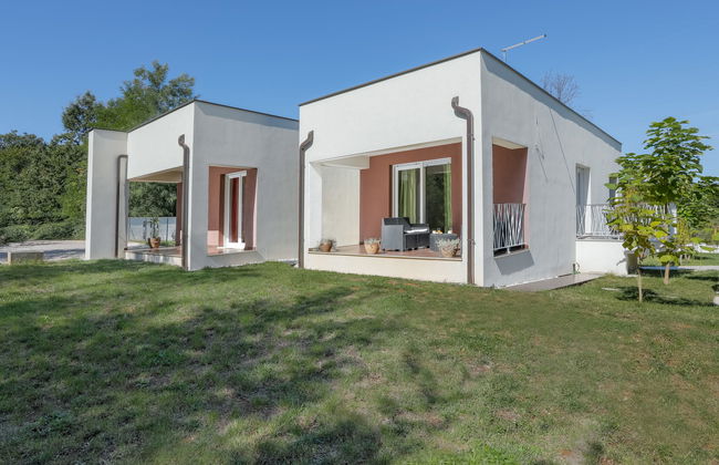 Forest Fairy - Foto 8