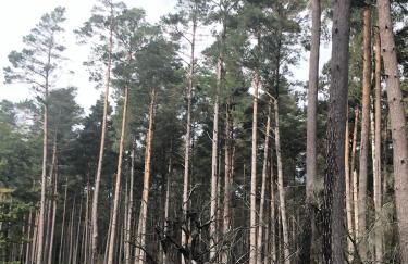 Number 2 Lymington Hampshire - Foto 12