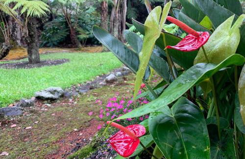 Hau'oli Place Tiki Cottage in Volcano - Foto 21