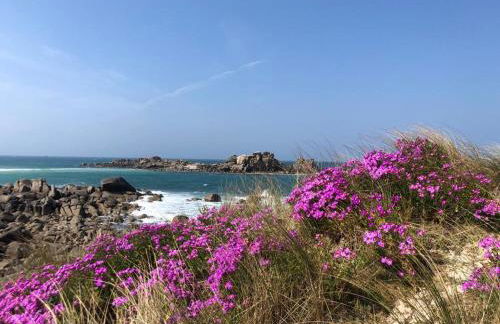 Kerfloreve - Foto 32