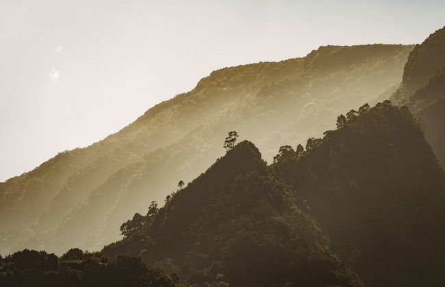 On the North Coast, by the sea - Casa do Terreiro - Foto 34