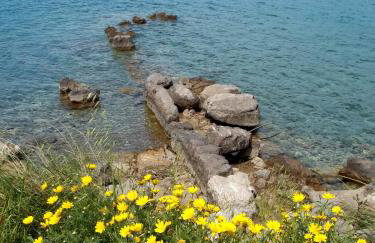 Villla Giallo - Photo 4