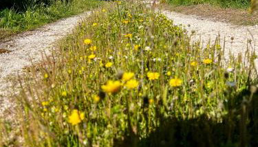 Casa da Curva - Foto 3