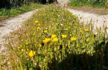 Casa da Curva - Foto 17