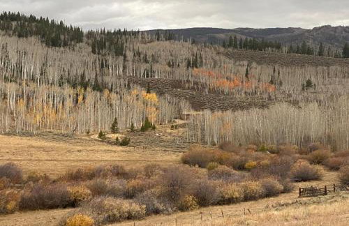 Whistle Pig Retreat at 22 West Cabins and Recreation - Foto 35