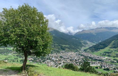 Charming three-room apartment in Oga - Photo 15