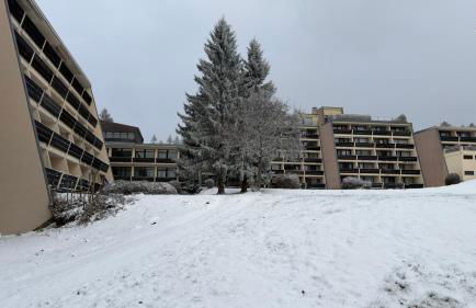 Luna & Stella Apartments, Sankt Englmar - Foto 25