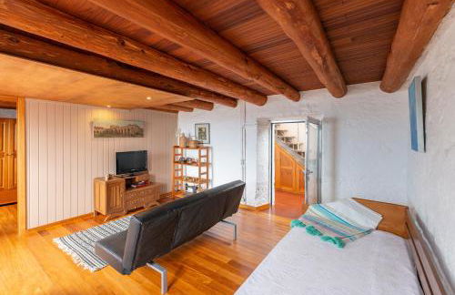 Lobo do Mar - Photo 31