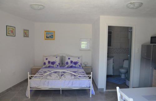 Studio Apartment Mileta - Photo 18