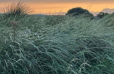 The Hideaway Bureau - Speyside - Foto 22