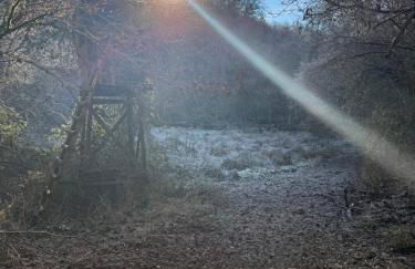 Gästehaus Lydia - Foto 17