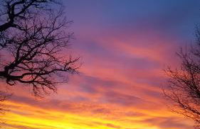 A casa di Matisse - appartamento vacanze - Foto 33