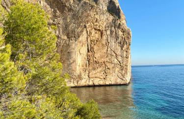 Natalie Calpe Sun 100m to the Beach center - Photo 36