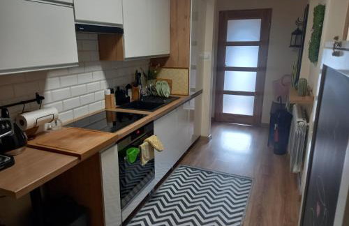 Owocowa Chojnata - Foto 10