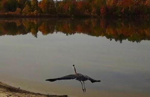 Cozy Private Log Cabin on acreage - Foto 15