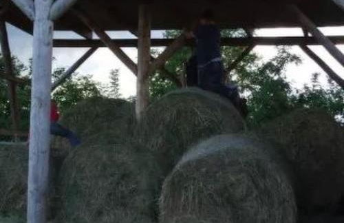 Holiday Home Holunderhof by Interhome - Foto 20