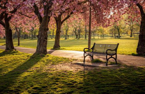 Edinburgh Centre - Richmond Residence - Photo 20