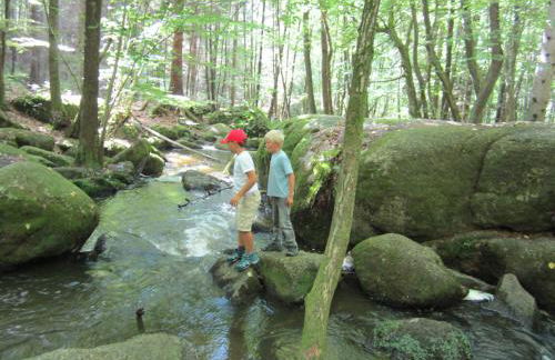 Landhaus Lehhof - Foto 56