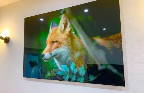 Le Terrier du Katz - Photo 1