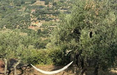 Mediterranean Retreat With Sea View In Seborga - Foto 18