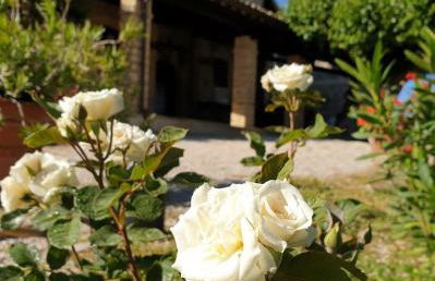 Agriturismo il Cicaleto - Foto 56