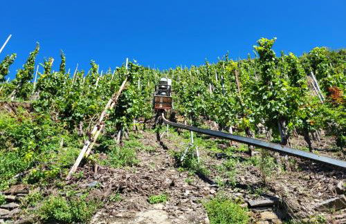 Ferienhaus-Am-Alten-Stadttor - Foto 38