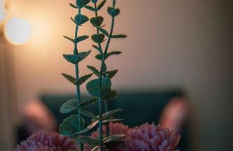 Affittacamere L'Agorà - Foto 15