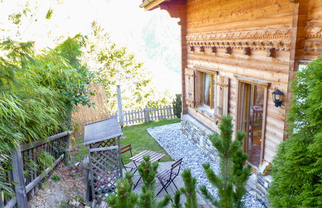 Ecureuil noir - Foto 23